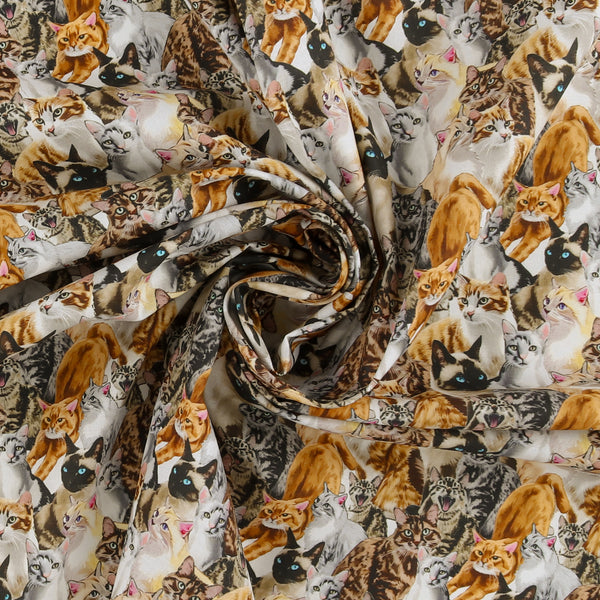 Printed Cotton - Dogs N Cats - 002 - Multicolor