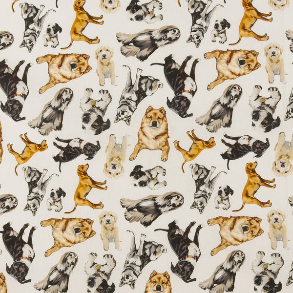 Printed Cotton - Dogs N Cats - 003 - White