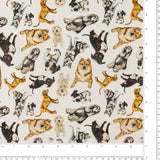 Printed Cotton - Dogs N Cats - 003 - White