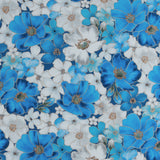 Coton imprimé - Papillon doré - 005 - Bleu