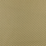 Coordinated Cotton - AVANTI - Ana - 009 - Clover