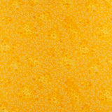 Blender - FLUTTER - 003 - Yellow
