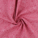 Blender - FLUTTER - 008 - Raspberry