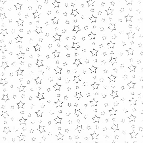 Tulle étoilé - Blanc/Argent