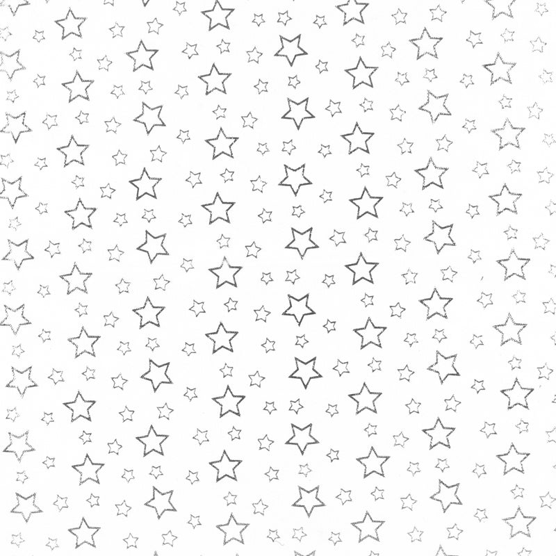 Tulle étoilé - Blanc/Argent