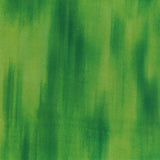 Printed Chiffon - ELEGANZA - 008 - Green