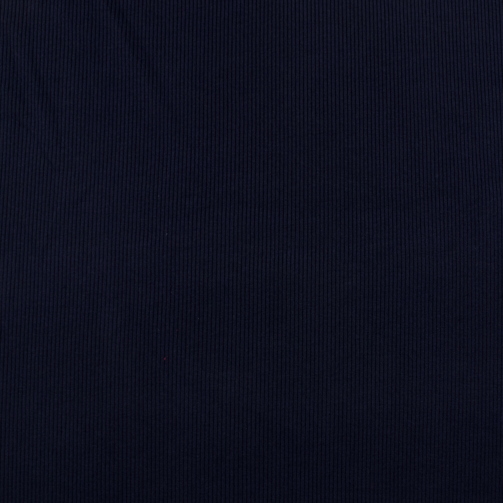 Sports Rib - 2x2 - 004 - Navy – Fabricville
