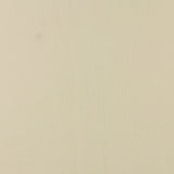 Solid Arctic Fleece - ICY - 012 - Cream