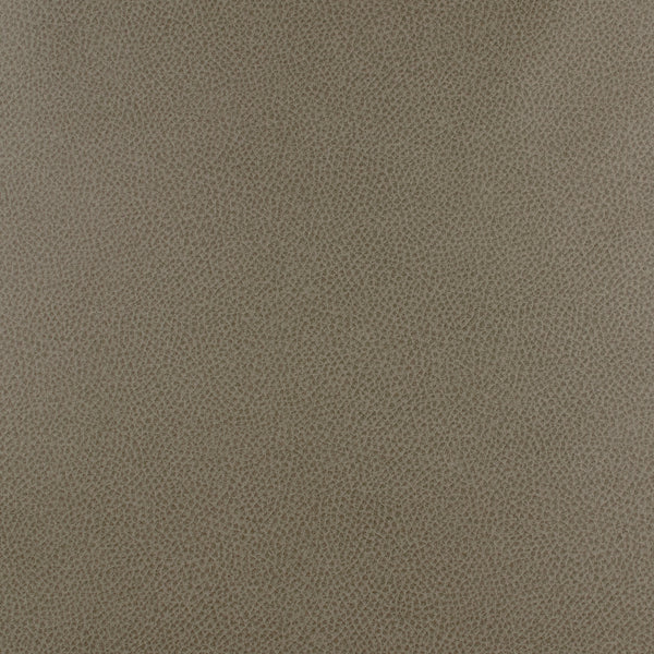 Upholstery Printed Vinyl - 023 - Taupe