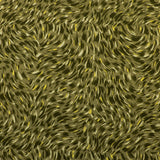 Printed Knit - DREAMLAND - 001 - Olive