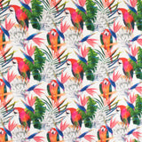 Gauze Cotton Print - NAP TIME - 005 - Green