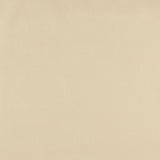 Mix of viscose and Linen  - BARBADOS - 008 - Natural