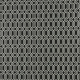Printed Knit - FASHION FORM - 011 - Black