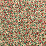 Velours côtelé imprimé - GRANDE CLASSE - 014 - Crème