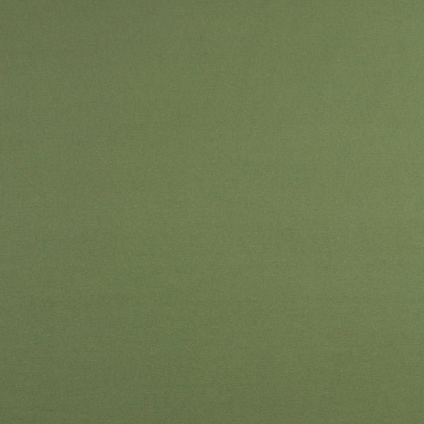 Tricot uni - PAYS DE RÊVE - 008 - Olive