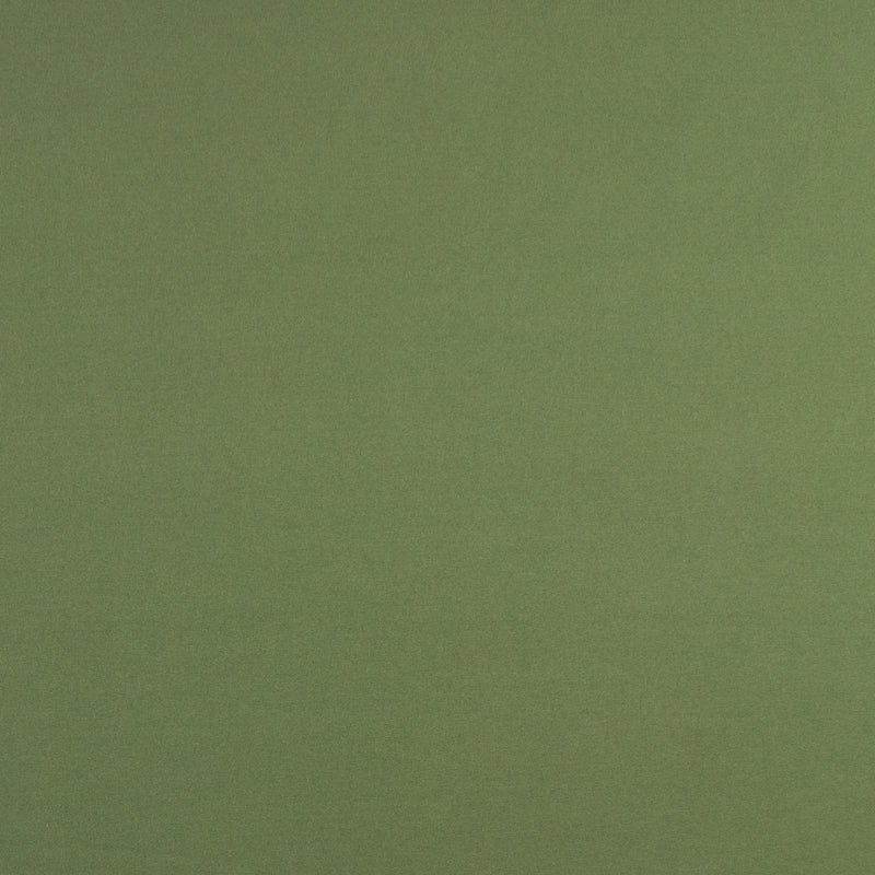 Tricot uni - PAYS DE RÊVE - 008 - Olive