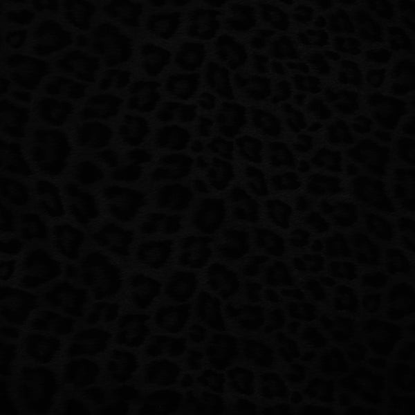 Monotone Softshell - ASTORIA - Swirl - 001 - Black