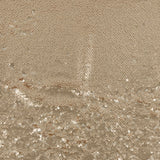Sequins - CELESTE - 013 - Champagne