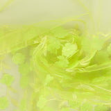 Embroidered Mesh - PRINCESS CHARLOTTE - 003 - Pistachio