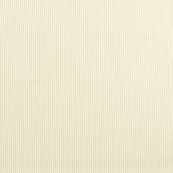 Solid Corduroy - BLUE HORIZON - 001 - Ivory