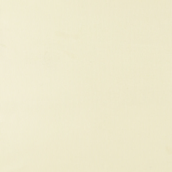 Solid Corduroy - MERIDIAN - 009 - Offwhite