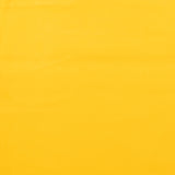 Solid Corduroy - MERIDIAN - 064 - Amber