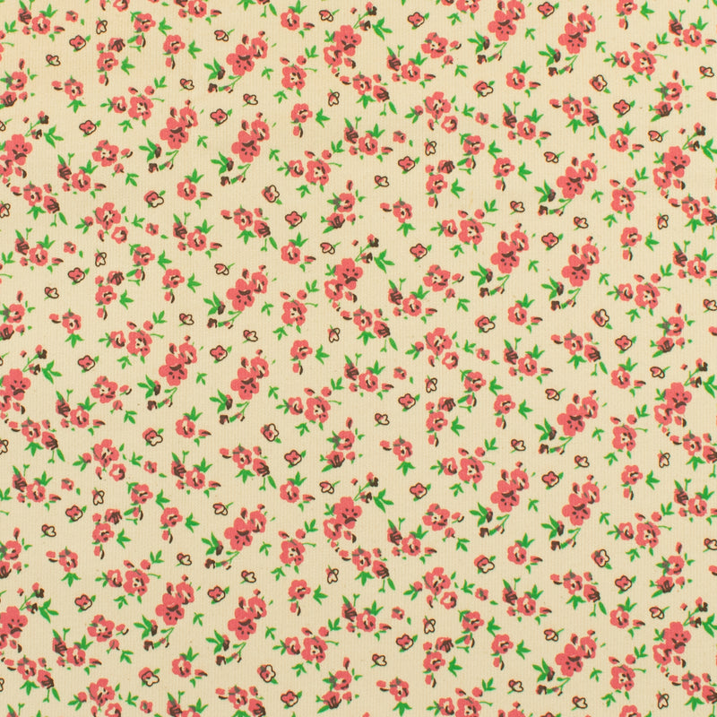 Printed Corduroy - QUATTRO - 004 - Beige