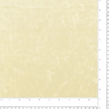 Velour Froissé - VIENNA - 013 - Crème