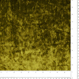 Velour Froissé - VIENNA - 704 - Olive