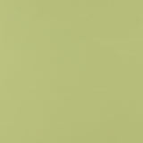 Chiffon Solid - DAY DREAM - 002 - Pistachio