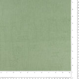 Corduroy - HARVEST - 007 - Seafoam