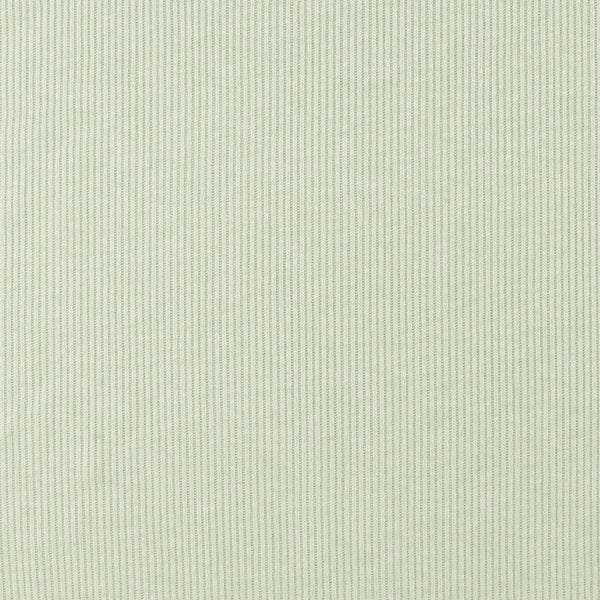 Rib Knit Solid - LITTLE EXPLORER - 003 - Sage