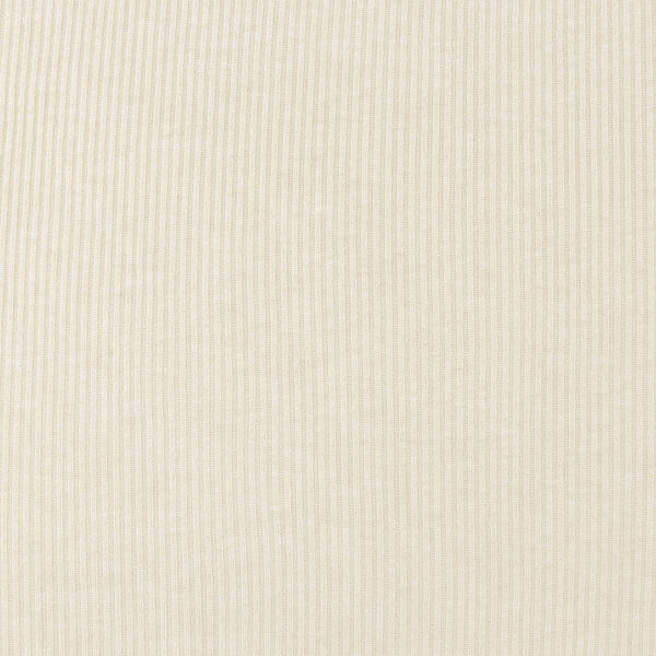 Rib Knit Solid - LITTLE EXPLORER - 004 - Cream