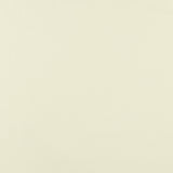 Cotton Poplin Solid - GIGGLES AND GRAPHICS - 002 - Offwhite