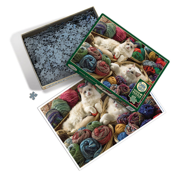 Puzzle - Ragdolls - 1000 Piece