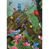 Puzzle - Birds of the Forest - 1000 Piece