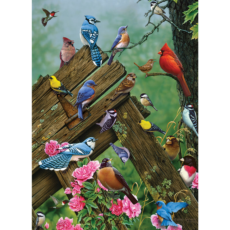Puzzle - Birds of the Forest - 1000 Piece