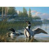 Puzzle - Common Loons - 1000 Piece