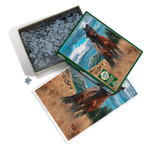 Puzzle - Freedom - 1000 Piece