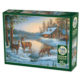 Puzzle - A Quiet Place - 1000 Piece