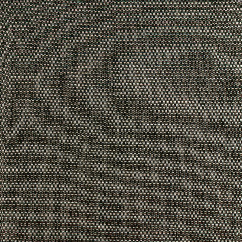 Home Decor Fabric - High Performance - Louis - Black