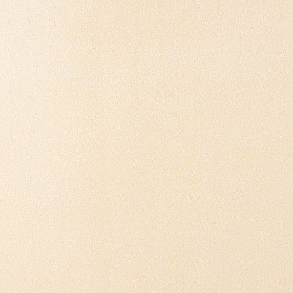 Home Decor Upholstery Fabric - High Performance Collection - Java - Cream