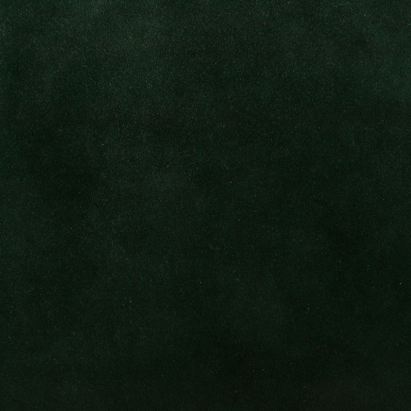 Home Decor Upholstery Fabric - High Performance Collection - Charm - Dark Green