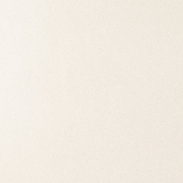 Home Decor Upholstery Fabric - High Performance Collection - Charm - Offwhite