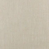 Tissu Grande Largeur décor maison - Collection Essentials - Hudson - 002 - Sauge Pâle