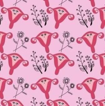 Hyster Sisters Pink Fabric Studio Uploads 1719704834-5247