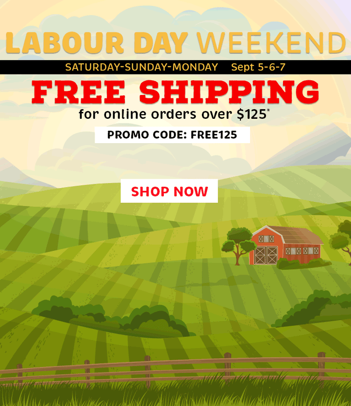 Free Ship