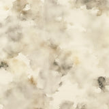 Rayonne nylon imprimée - <LOVELY> - 006 - Ivoire