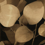 Printed Velvet - VERSAILLES - 010 - Sepia