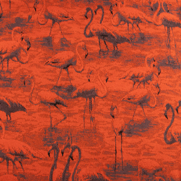 Jacquard Knit - LAUREN - Flamingo - Orange